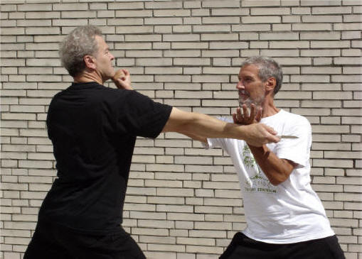 Taiji als Selbstverteidigung innere Kampfkunst